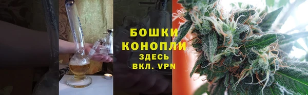 шишки Печоры